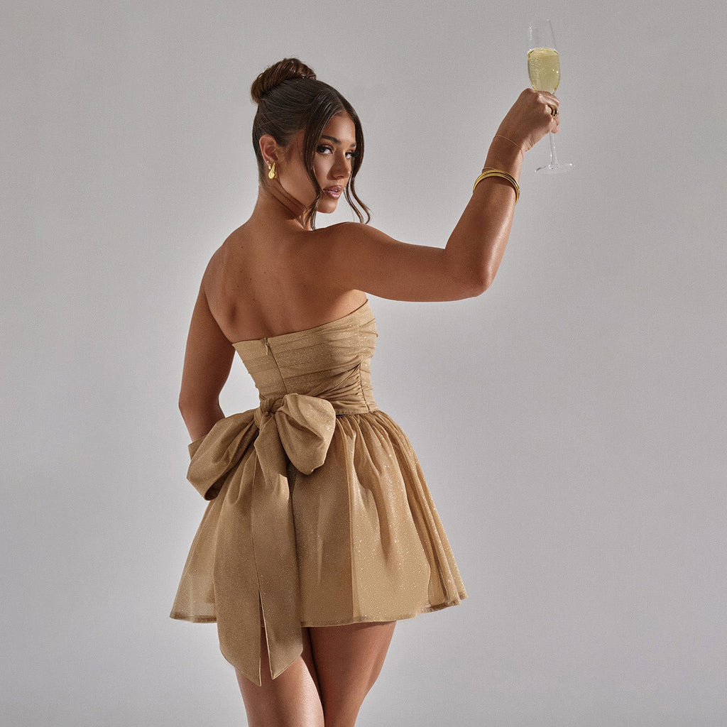 K Tube Top Lace Dress With Back